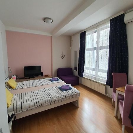 Studio Apartman Ld U Strogom Centru Nowy Sad Zewnętrze zdjęcie