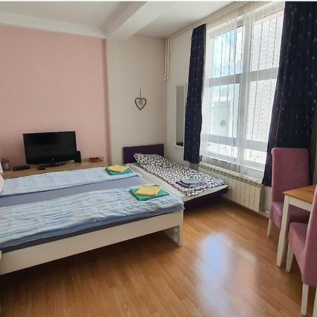 Studio Apartman Ld U Strogom Centru Nowy Sad Zewnętrze zdjęcie