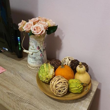 Studio Apartman Ld U Strogom Centru Nowy Sad Zewnętrze zdjęcie