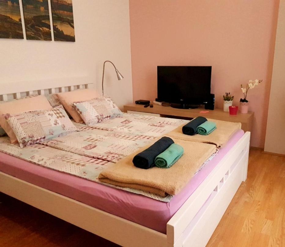 Studio Apartman Ld U Strogom Centru Nowy Sad Zewnętrze zdjęcie
