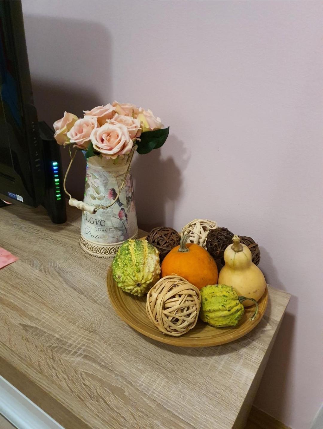 Studio Apartman Ld U Strogom Centru Nowy Sad Zewnętrze zdjęcie