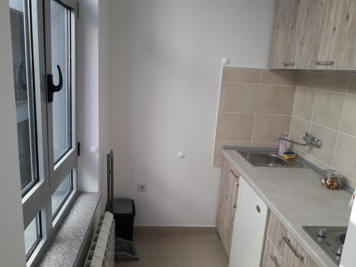 Studio Apartman Ld U Strogom Centru Nowy Sad Zewnętrze zdjęcie