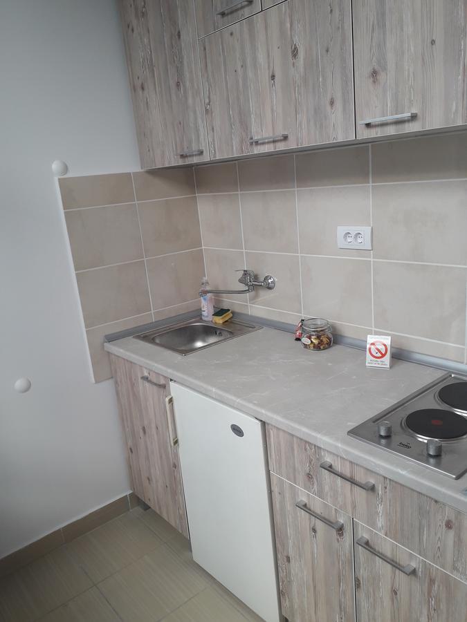 Studio Apartman Ld U Strogom Centru Nowy Sad Zewnętrze zdjęcie