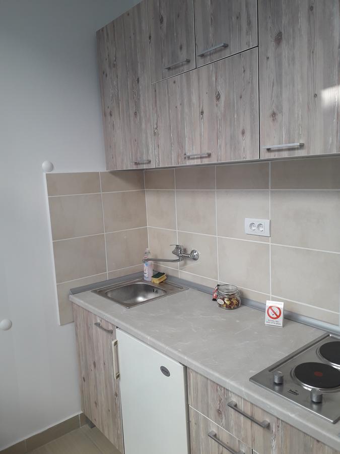 Studio Apartman Ld U Strogom Centru Nowy Sad Zewnętrze zdjęcie