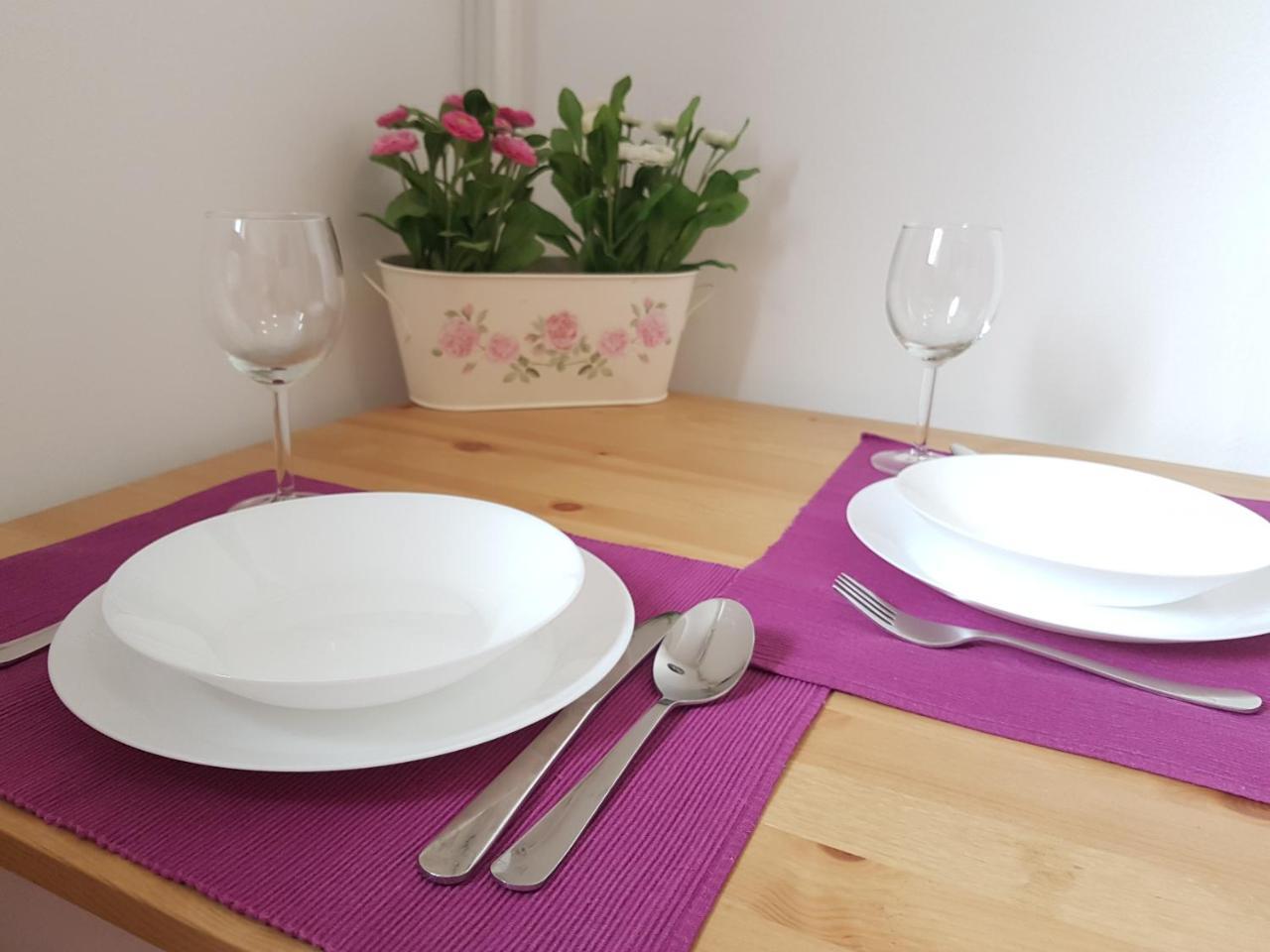 Studio Apartman Ld U Strogom Centru Nowy Sad Zewnętrze zdjęcie