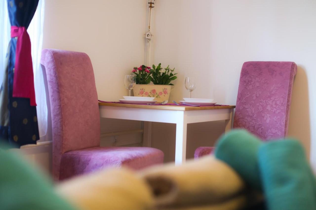 Studio Apartman Ld U Strogom Centru Nowy Sad Zewnętrze zdjęcie